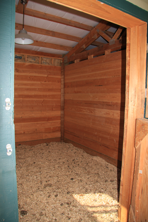 Inside Stall