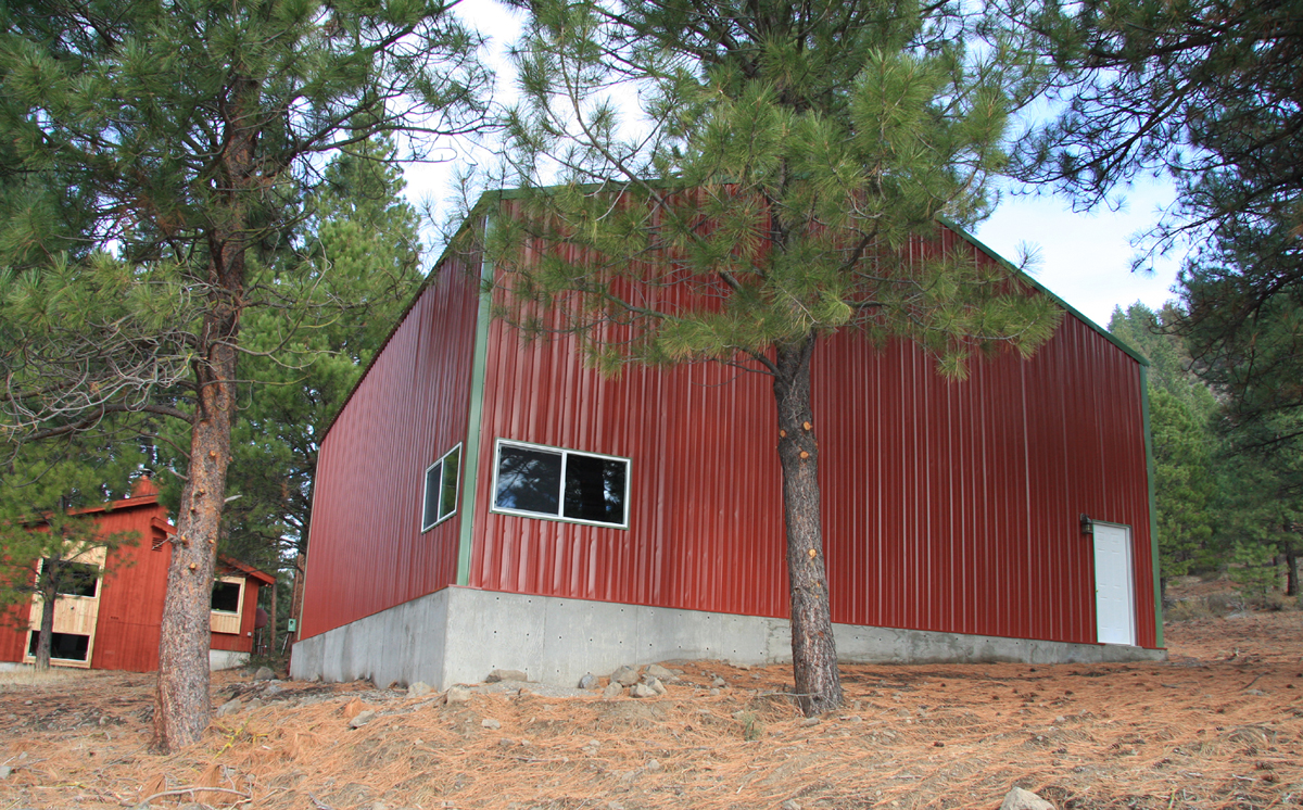 Back View